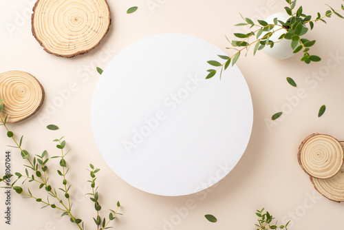 Nature tenderness concept. Top view photo of empty circle surrounded by branches of eucalyptus and round wooden stands on isolated pastel background with copy-space