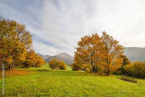 Colorfull trees in autumn foggy landscape. The Strazov Mountains Protected Landscape Area  Slovakia  Europe.