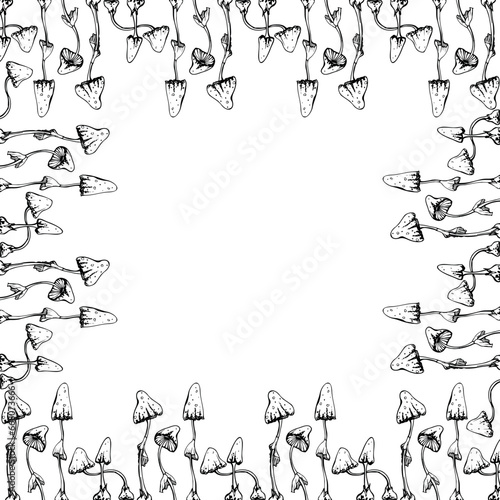 Hand drawn ink vector poisonous mushroom toadstool fungi isolated square frame. Sketch illustration art witchcraft, medicine, chemistry, alchemy. Design shops, logo, print, website, card, booklet