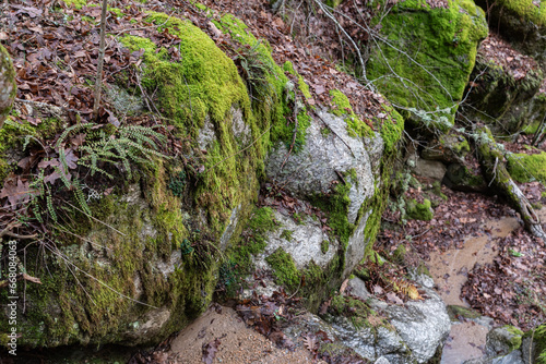 Rocks covered with green moss. A natural picturesque background referring to autumn in the mountains. Autumn mountain landscape.