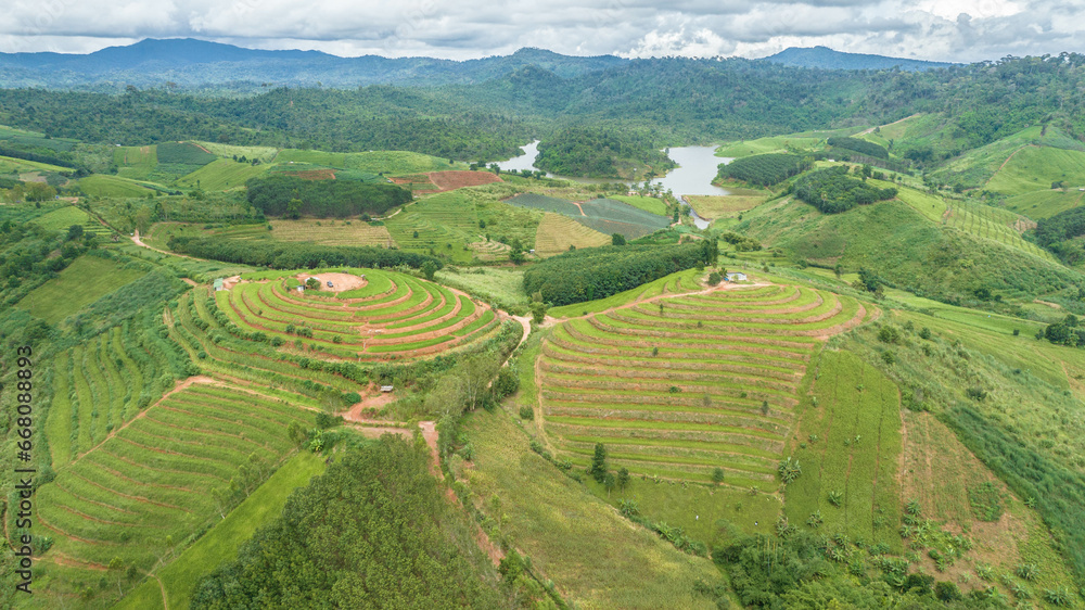 Rice terraces on the mountain, Ban Nam Chuang, Thailand