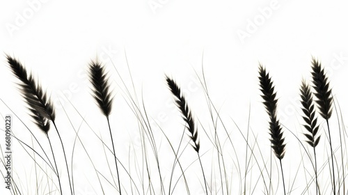 Three black grass silhouettes on a white background