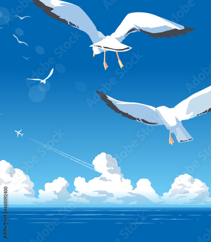 夏のイメージ　舞い上がる海鳥の群れ