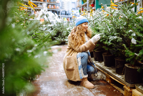 Beautiful young woman buys a Christmas tree at the fair. She chooses a beautiful Christmas tree for her home interior. New Year's holiday concept