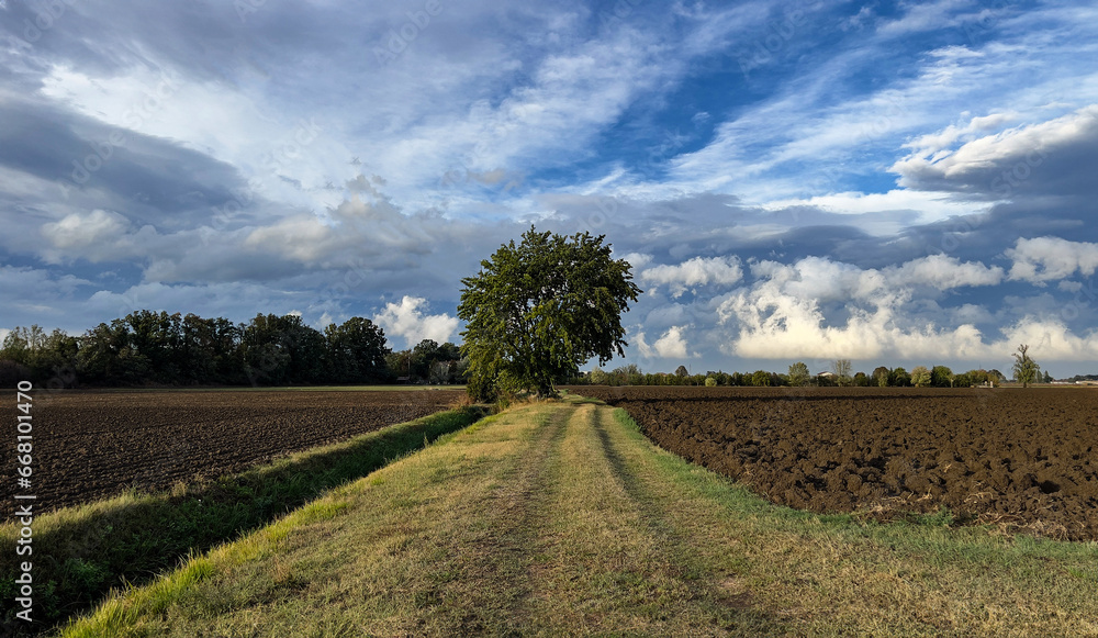 landscape in the Italian agricultural world landscape in the Italian agricultural world