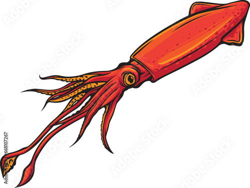 Cuttlefish sea animal design. Pink squid tasty sea food of restaurant. vector illustration