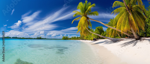 Beautiful tropical island with palm trees and beach panorama. A perfect tropical landscape. © trompinex