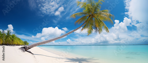 Beautiful beach with white sand, blue sky with clouds, turquoise ocean, and palm tree above the water on a sunny day. A perfect tropical landscape.