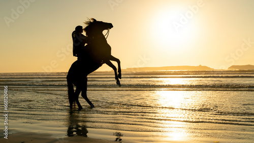 Silhouette of a horse and unidentified rider on the beach of Essaouira Mogador, Morocco