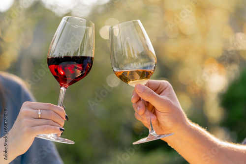 Close-up shot of a man and woman's hands holding glasses of different types of wine and clinking glasses on grape plantation
