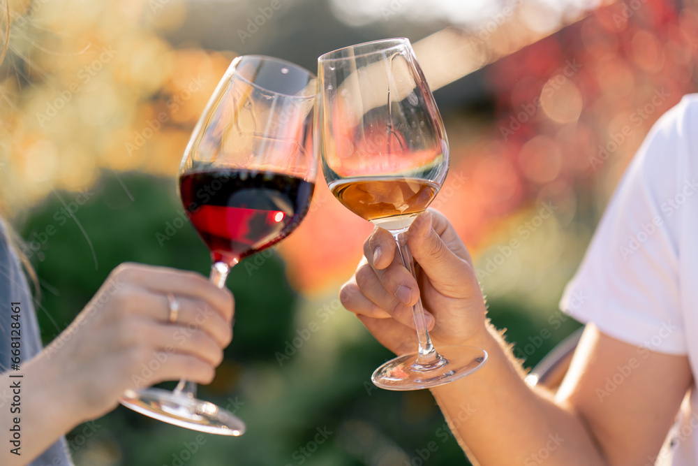 Close-up shot of a man and woman's hands holding glasses of different types of wine and clinking glasses on grape plantation