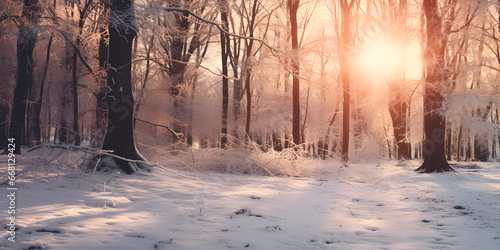 Snow Forest Morning Background, A snowy path in the woods with the sun shining on the snow Generative Ai 