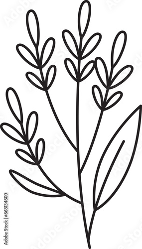 Fototapeta Naklejka Na Ścianę i Meble -  Hand Drawn Wild Flower Line Art Element Illustration