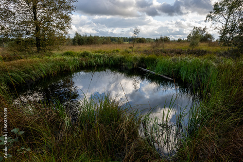 Der Himmel spiegelt sich in einem Teich mit Gras im Vordergrund