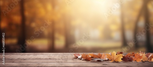Autumn background with empty wooden table Vibrant image