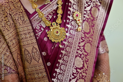 Indian Traditional Woman Jewelry. Saree and Golden necklace. Indian Wedding fashion. Diwali woman fashion.