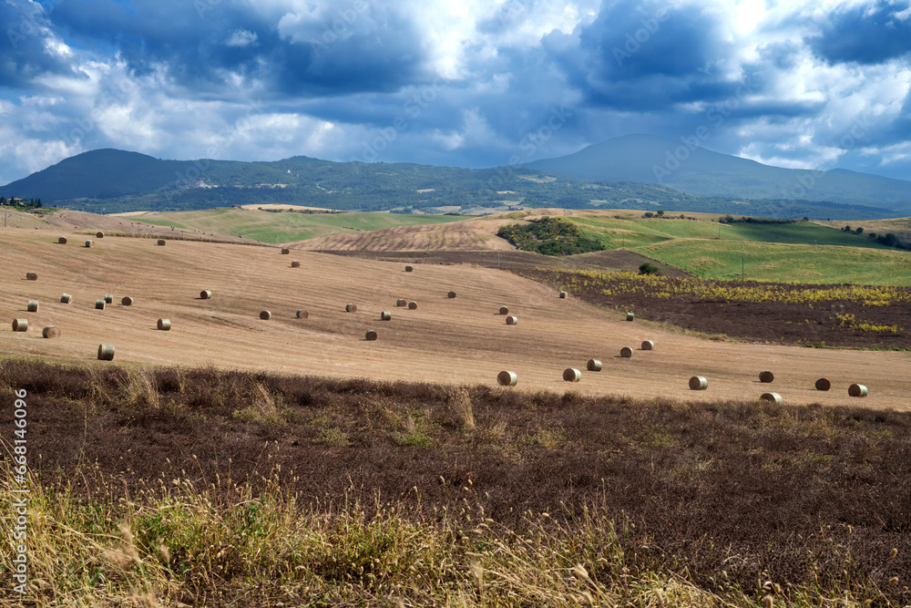 Obraz premium Rural landscape in Tuscany near San Quirico d Orcia