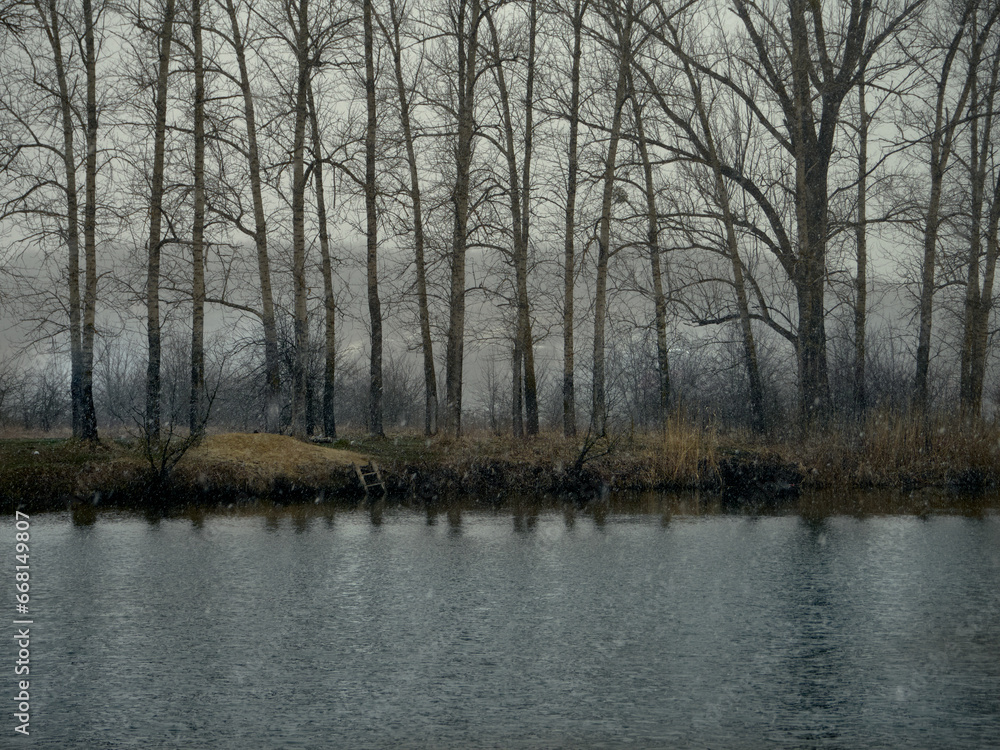 The river and the shore, on which tall trees, reeds and shrubs grow, it's early spring, the snow has melted, but now it's snowing heavily, the sky is overcast and foggy