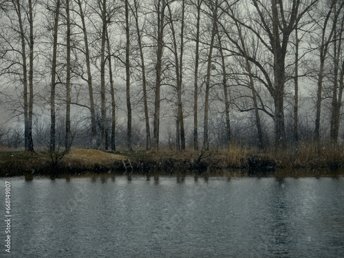 The river and the shore, on which tall trees, reeds and shrubs grow, it's early spring, the snow has melted, but now it's snowing heavily, the sky is overcast and foggy