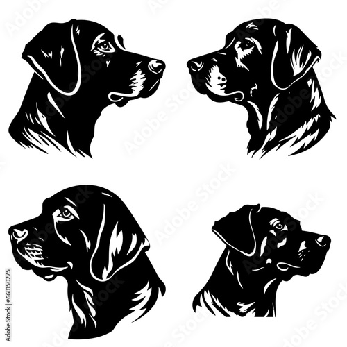 black and white dogs