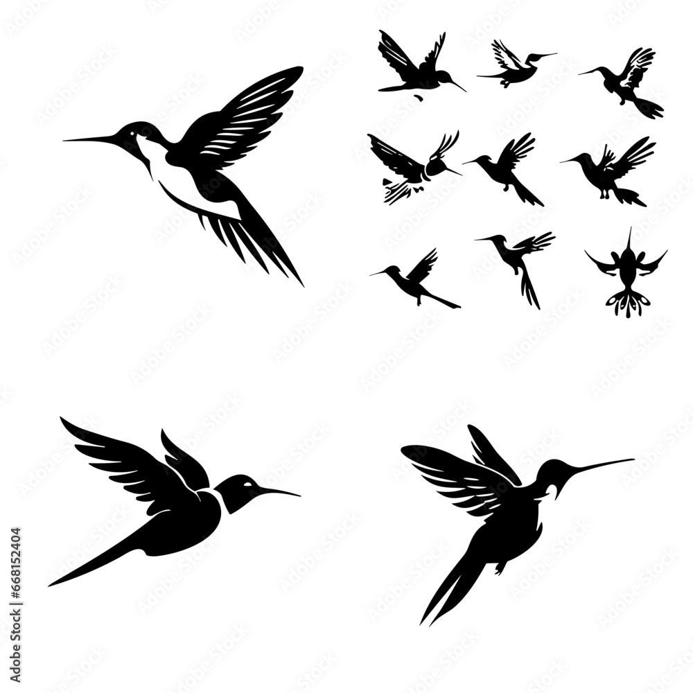 bird, silhouette, vector, animal, flying, illustration, nature, birds