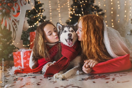 Two teenagers sisters in sweaters and scarfa and a dog husky in red  knitted scarf play in christmas decorations.  © illustrissima