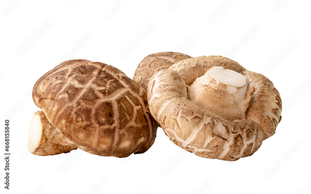 Front view of Fresh shiitake mushrooms in stack isolated on white background with clipping path in png file format. Japanese and Chinese herb Front view of Fresh shiitake mushrooms in stack isolated on white background with clipping path in png file format. Japanese and Chinese herb