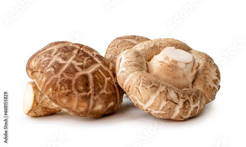 Front view of Fresh shiitake mushrooms in stack isolated on white background with clipping path. Japanese and Chinese herb