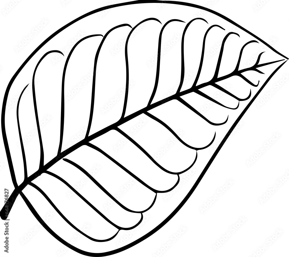 Autumn Leaf Hand Drawn Line Art Monochrome Autumn Leaf Hand Drawn Line Art Monochrome
