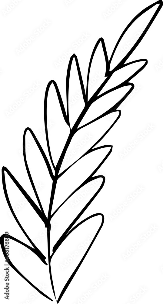 Autumn Leaf Hand Drawn Line Art Monochrome Autumn Leaf Hand Drawn Line Art Monochrome