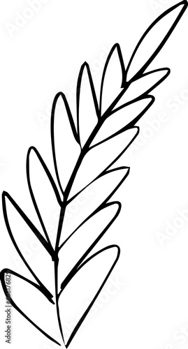 Autumn Leaf Hand Drawn Line Art Monochrome