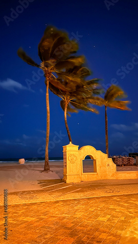 Windy beach night, sand, boardwalk, palm trees, sky, stars