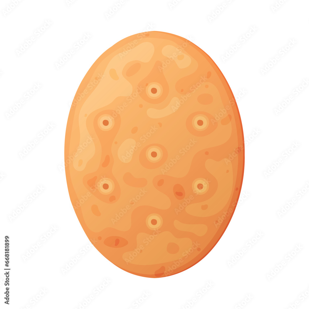 Oval Crunchy Cracker Cookie as Dry Baked Flour Biscuit Vector Illustration Oval Crunchy Cracker Cookie as Dry Baked Flour Biscuit Vector Illustration