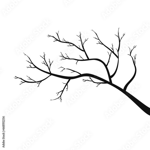 Black silhouette of a tree branch on white background.