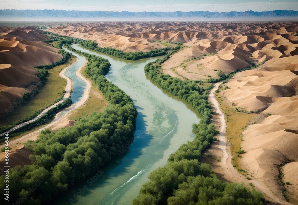 Aerial photo of a river with green plants in desert