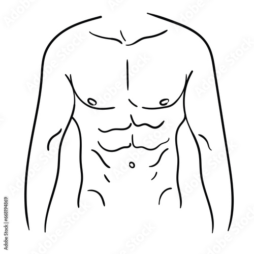 Hand-drawn cartoon outlines of a muscular male torso on a white background.