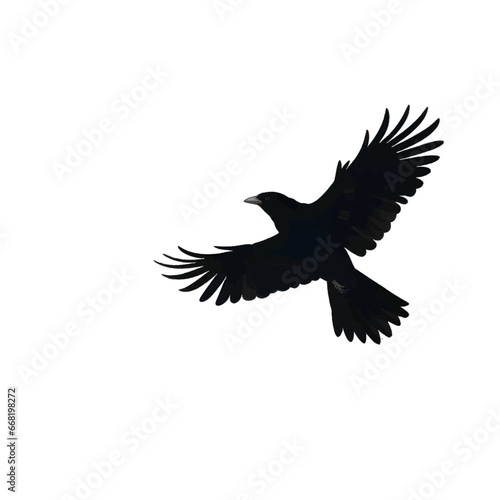 Black silhouette of a bird in flight on white background.
