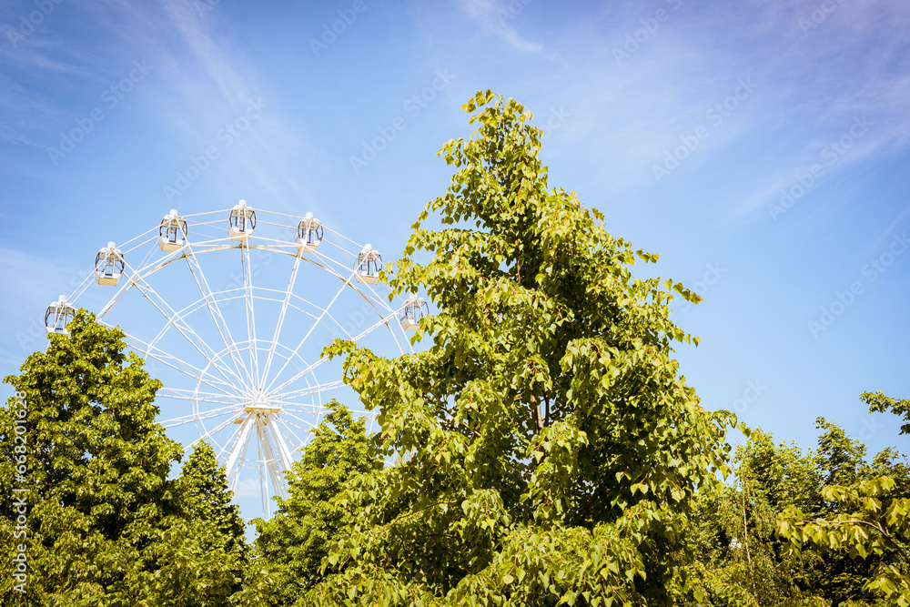 Treetops, in a summer park, including a Ferris wheel. At the top of the Ferris wheel, among the tops of green trees.