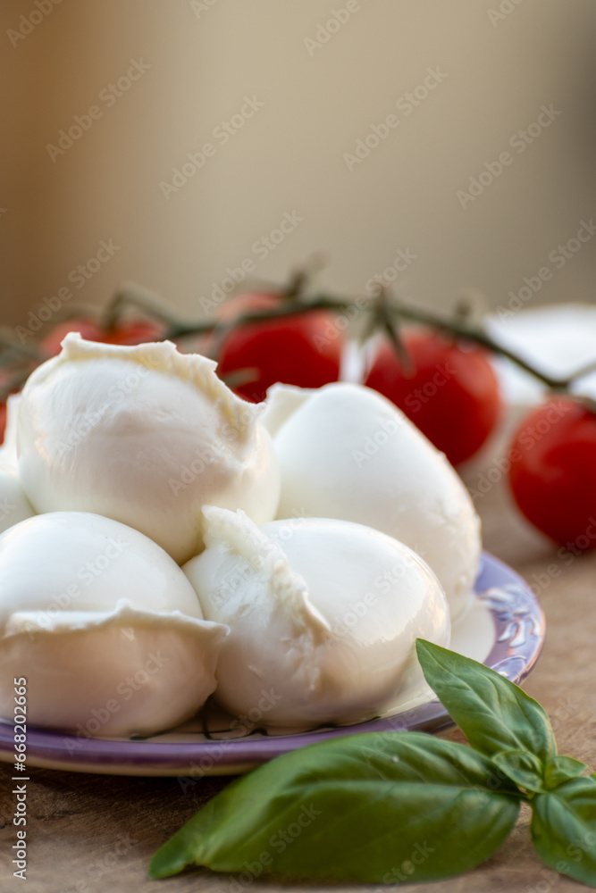 White balls of Italian soft cheese Mozzarella di Bufala Campana served with fresh green basil and red sicilian tomatoes White balls of Italian soft cheese Mozzarella di Bufala Campana served with fresh green basil and red sicilian tomatoes