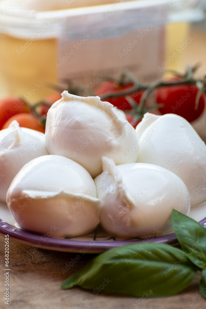 White balls of Italian soft cheese Mozzarella di Bufala Campana served with fresh green basil and red sicilian tomatoes White balls of Italian soft cheese Mozzarella di Bufala Campana served with fresh green basil and red sicilian tomatoes
