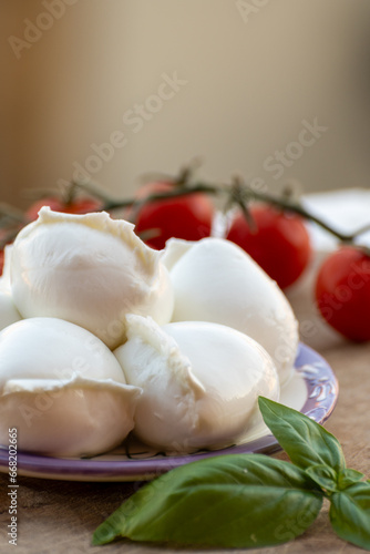 Fototapeta Naklejka Na Ścianę i Meble -  White balls of Italian soft cheese Mozzarella di Bufala Campana served with fresh green basil and red sicilian tomatoes