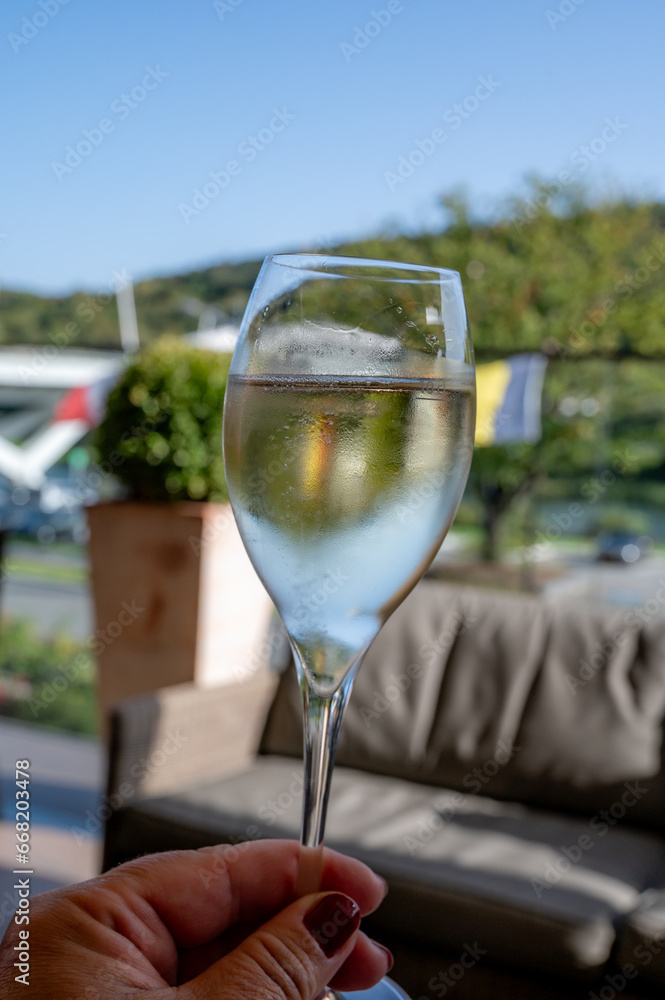 Obraz premium WIne tasting. Production of cremant sparkling wine in south part of Luxembourg country on bank of Moezel, also known as Mosel, Moselle or Musel river.
