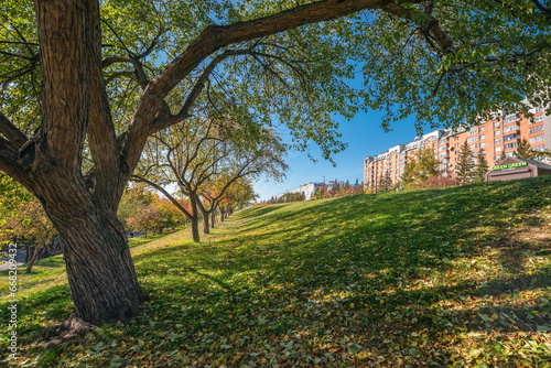 autumn in the park