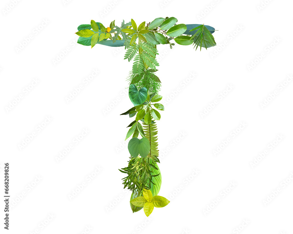 Obraz premium T shape made of various kinds of leaves isolated on transparent background, go green concept, PNG