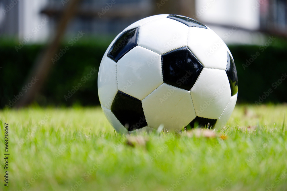 soccer ball in the grass. soccer ball in the grass.
