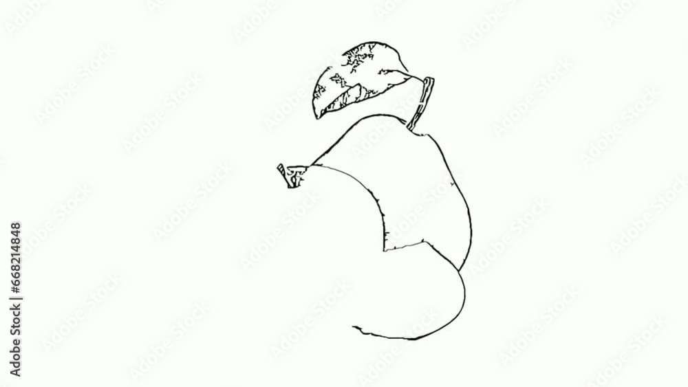 the whiteboard animation video of apple the whiteboard animation video of apple