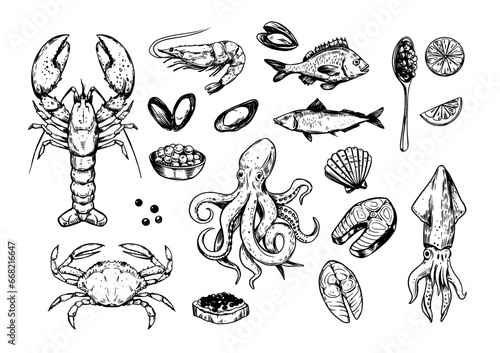 Seafood. set of vector sketch illustrations, crab, lobster, shrimp, fish. Black outline on transparent background