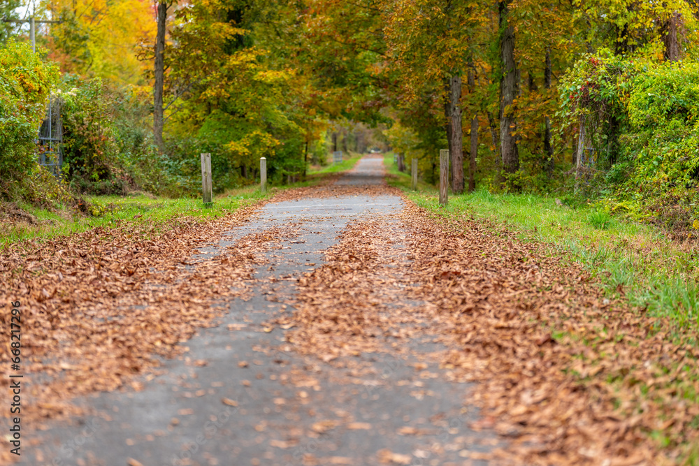 Fall, autumn, image of a long paved trail extending in the distance with orange leaves on the ground.	