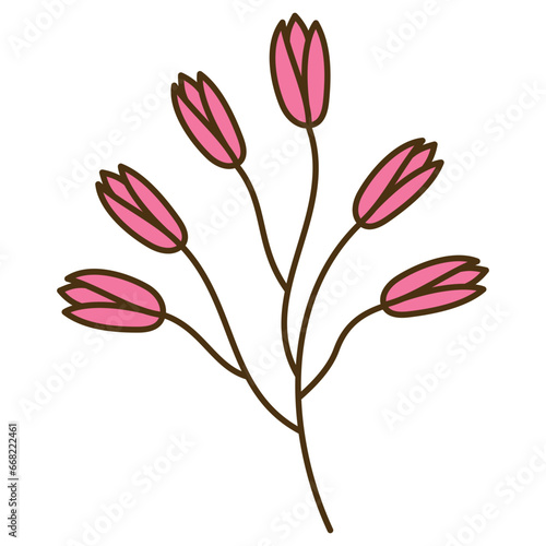floral of tulips