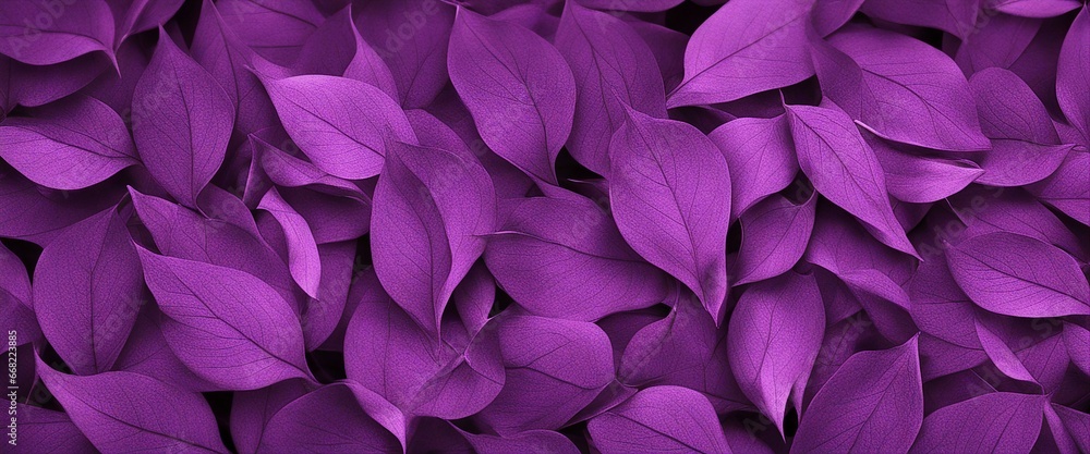Fototapeta purple leaves wallpaper
